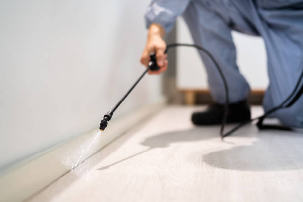 Licensed Fumigation Services service in Zwolle, LA - Nex Pest Control