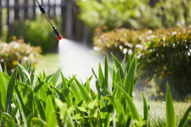 24/7 Emergency Fumigation Services experts in Zwolle, LA
