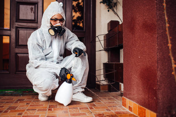 Reliable Fumigation Services contractor in Zwolle, LA by Nex Pest Control