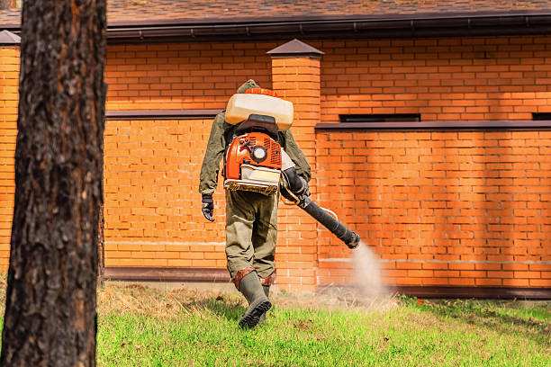 Trusted Emergency Pest Control service in Zwolle, LA - Nex Pest Control